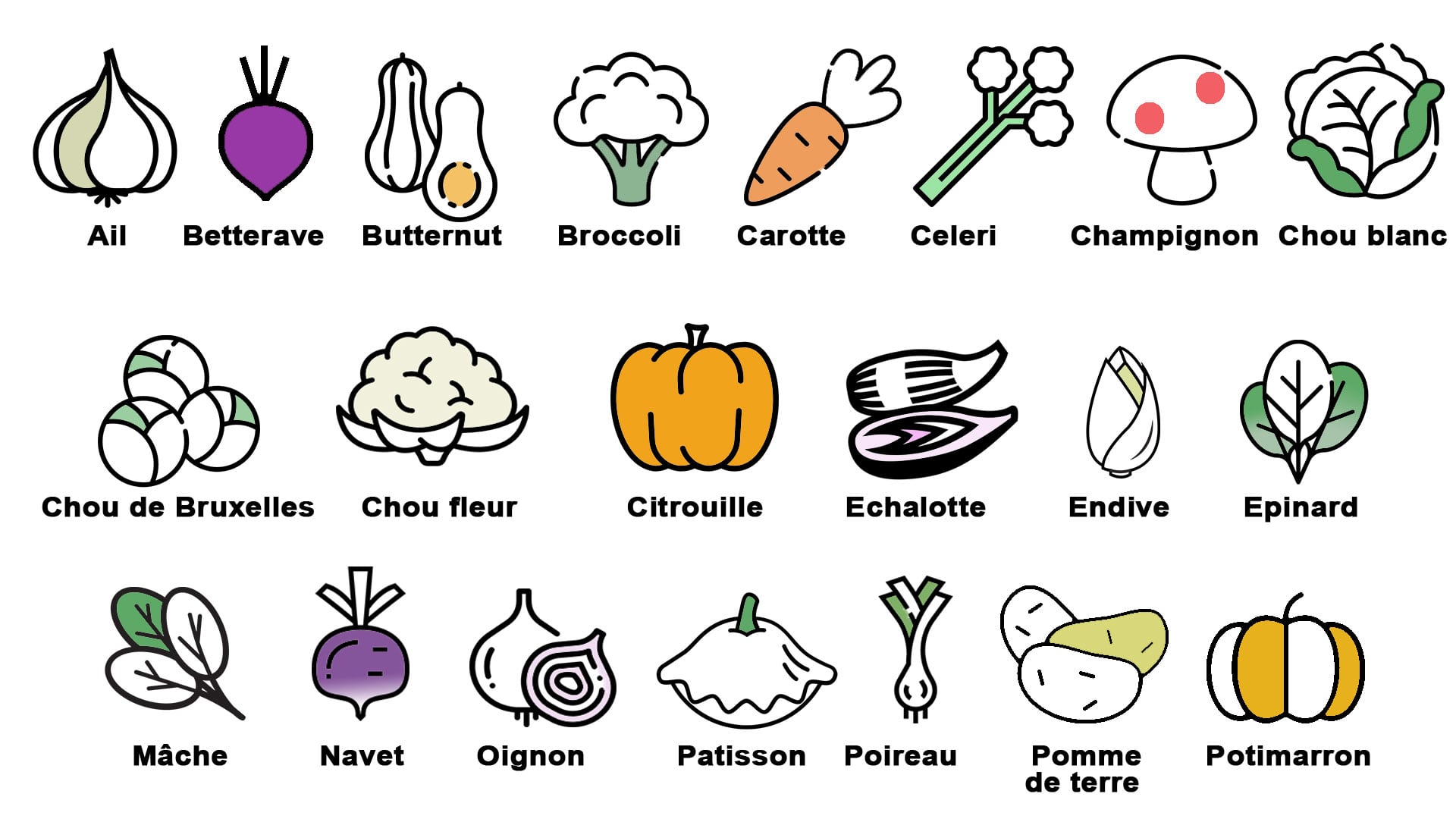 Quels légumes consommer en novembre ? ou Comment booster son immunité avant l’hiver ?